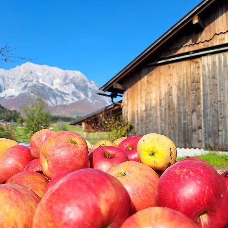 Urlaub Im Stall Irdning Exterior foto