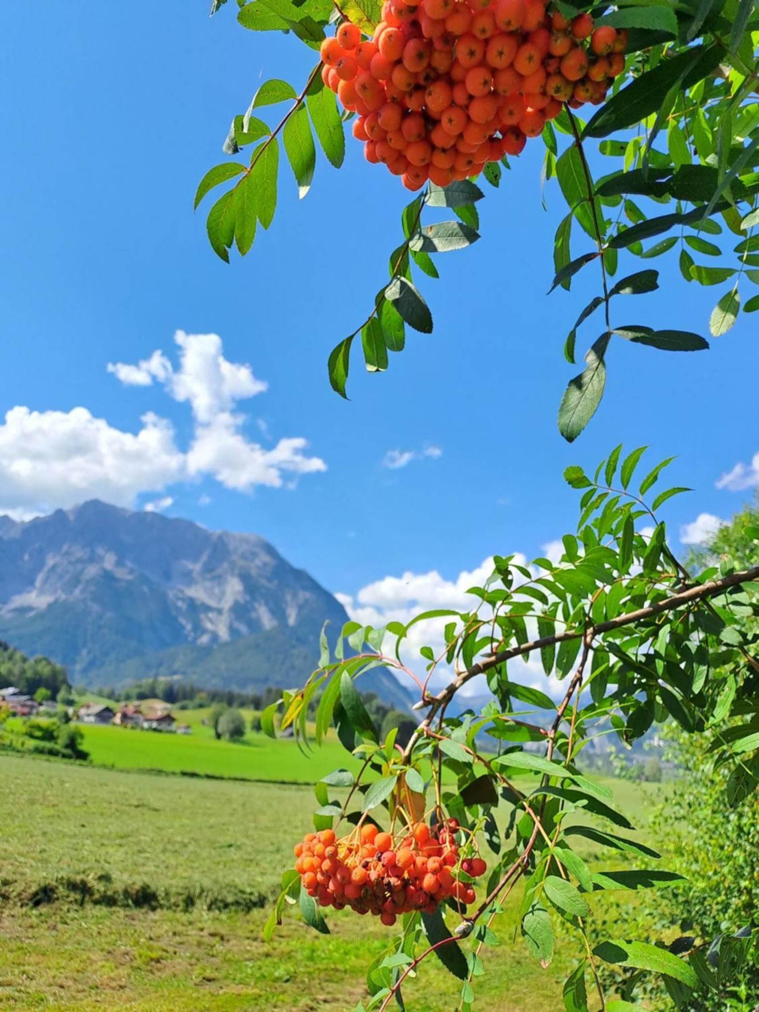 Urlaub Im Stall Irdning Exterior foto
